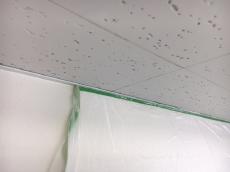 塗装　神栖市　リフォーム