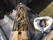 屋根　蝙蝠対策　潮来市