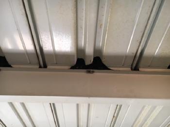 雨漏れ修理　鹿嶋市　潮来大工