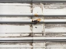 雨漏れ修理　潮来大工　鹿嶋市