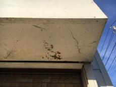 塗装　リフォーム　修理　潮来市