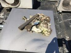 屋上　塗装　防水　潮来市　リフォーム