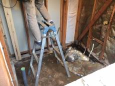 手摺　香取市　浴室　シロアリ　洗面　廊下　鹿嶋市　リフォーム　潮来市